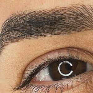 PAMELLA BROWS - NANOBLADING